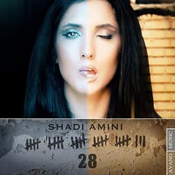 28 · Shadi Amini