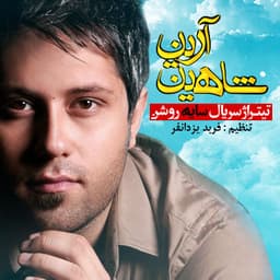 Che Sakhte · Shahin Ariyan