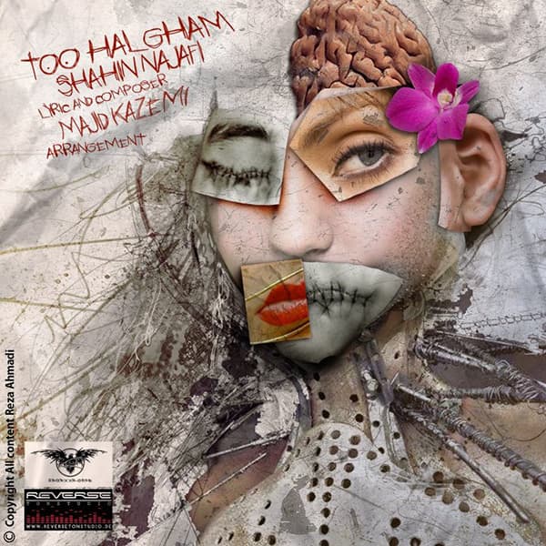 Too Halgham · Shahin Najafi