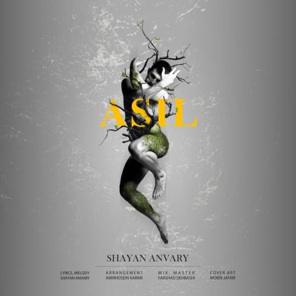 Asil · Shayan Anvary