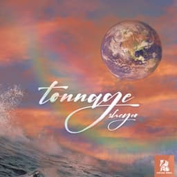 Tonnage · Sheyco