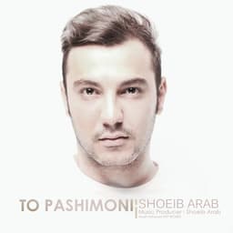 To Pashimoni · Shoeib Arab