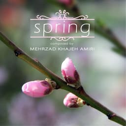 Spring · Mehrzad Khajeh Amiri