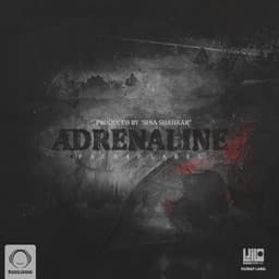 Shir · Sina Shahkar