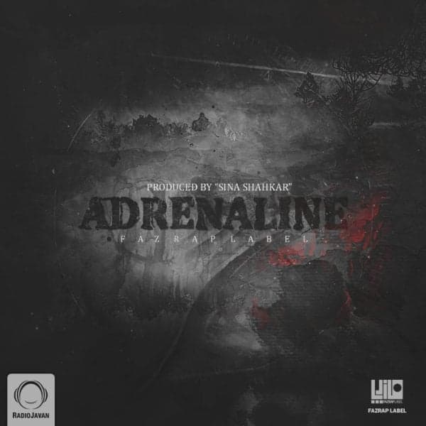 Shir · Sina Shahkar