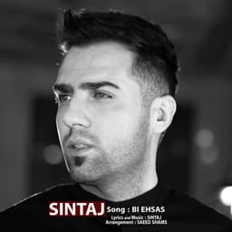Bi Ehsas · Sintaj