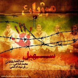 Marzban · Soheil