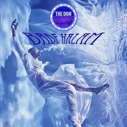 Bade Halam · The Don
