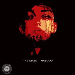 Naboodi · The Maze