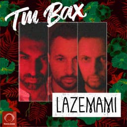 Lazemami · TM Bax