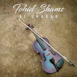 In Del · Tohid Shams
