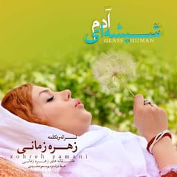 Adam Shishei · Zohreh Zamani