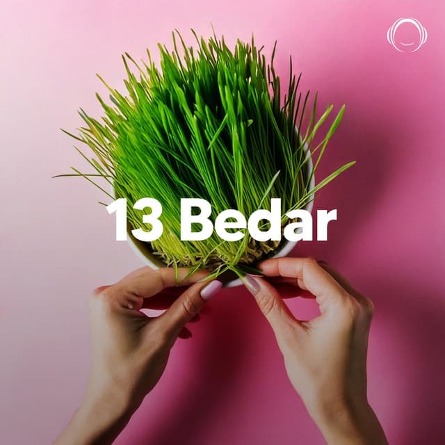 13 Bedar