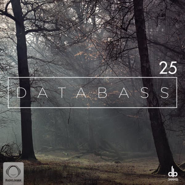 Databass 25 · Sina