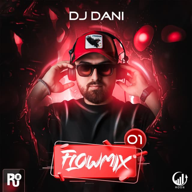 Flowmix 1 · DJ Dani