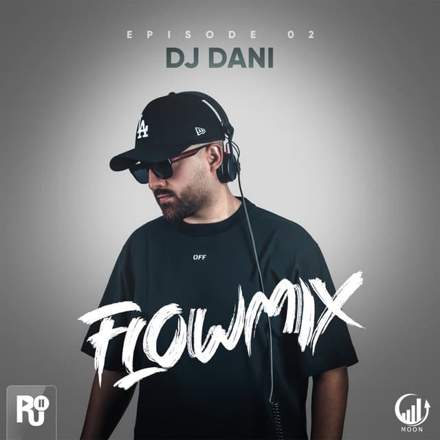 Flowmix 2 · DJ Dani