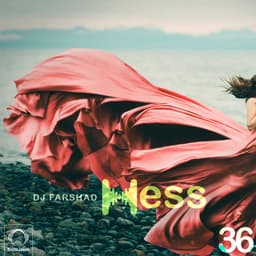 Hess 36 · DJ Farshad