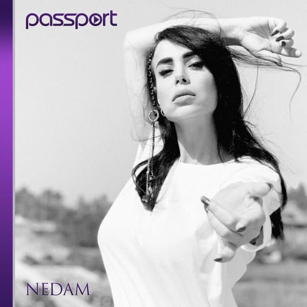 Passport 102 · Nedam
