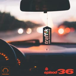 Traffik 36 · Bahador-S