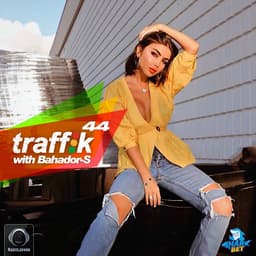 Traffik 44 · Bahador-S