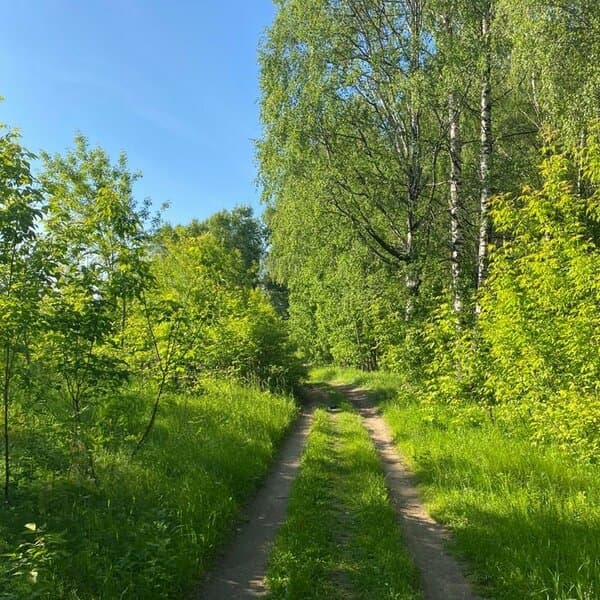 green__girl