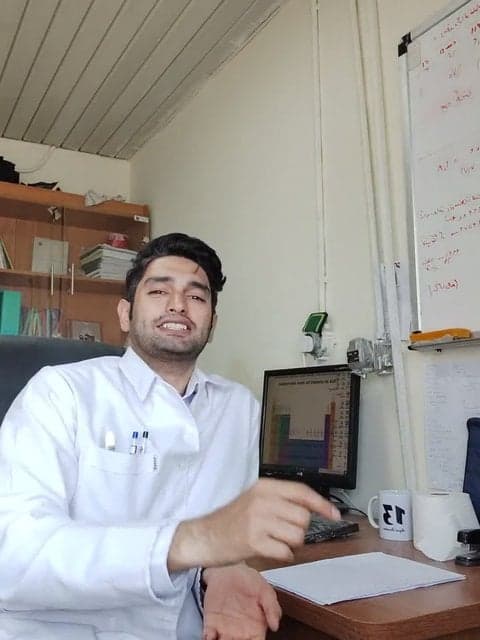 Leyla · Alireza Talischi