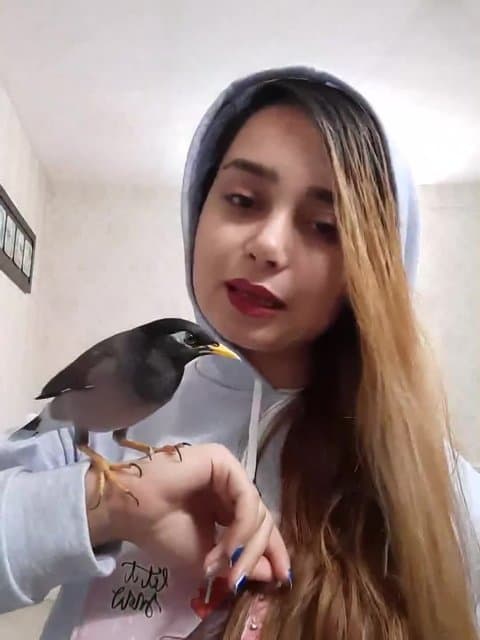 Nabashe Roo Dastet · Satin