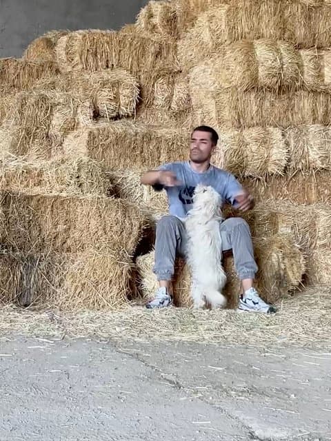 Saat Bargard 2 · Sogand