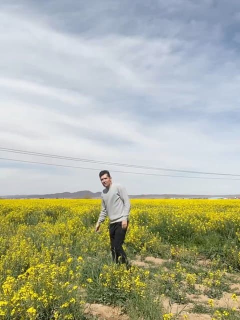 Mara Bebakhsh · Alireza Ghorbani