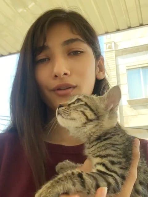 Salam · Nooshafarin