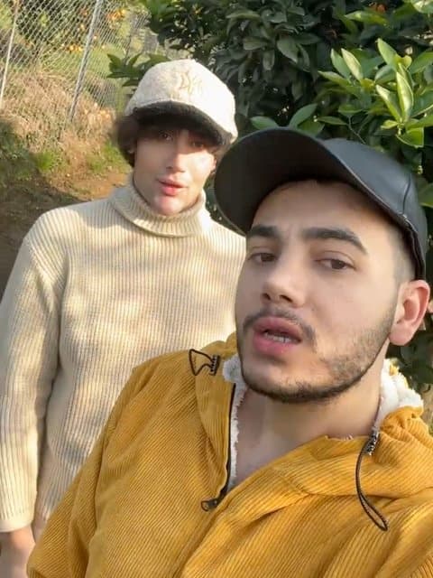 Gorgo Mish · Majid Razavi