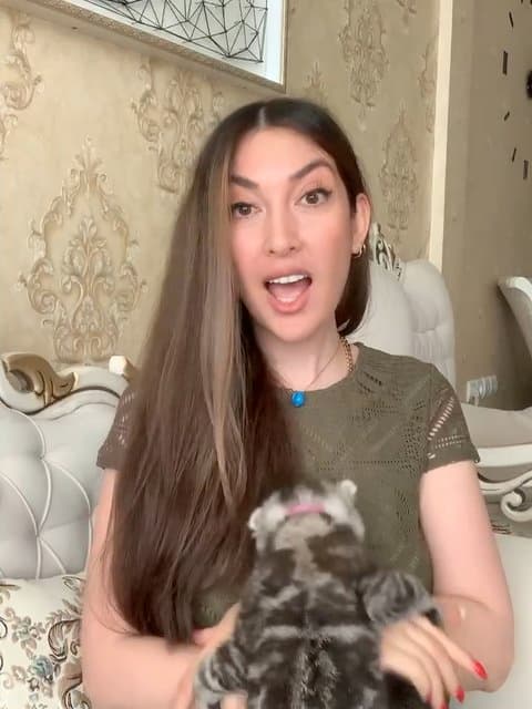 Shab Bekheir · Satin