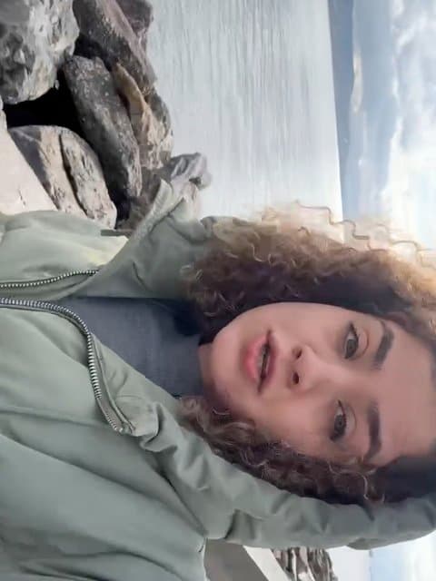 Paeeze Delam · Amirabbas Golab