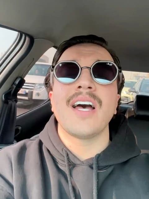 Setareh · Shadmehr Aghili