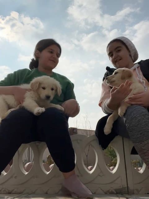 Cheshmoon Siah · Naser Zeynali