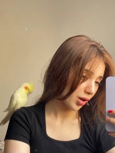 Kharchanghaye Mordabi · Habib