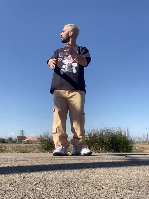 Male Mani · Moein Z