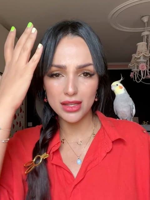 Zendooni (Live) · Dariush