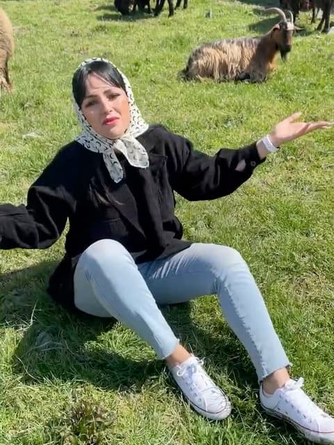 Shakhe Nabat · Masih & Arash AP