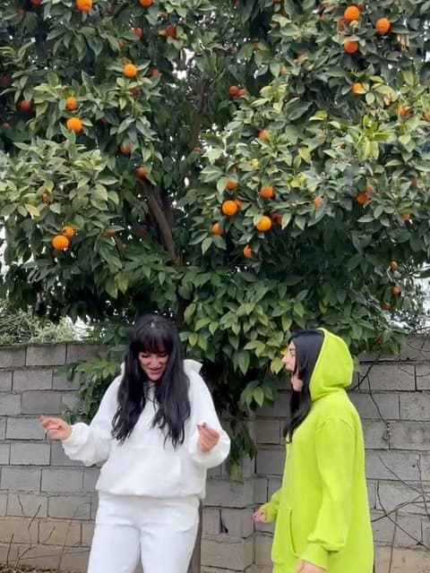 Moo Meshki · Garsha Rezaei