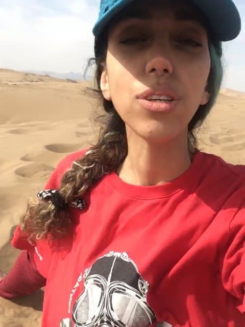 Avaz Nemishi · Shadmehr Aghili