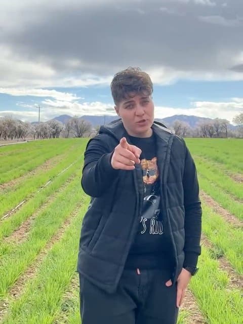 Mizane Bad · Meysam Ebrahimi