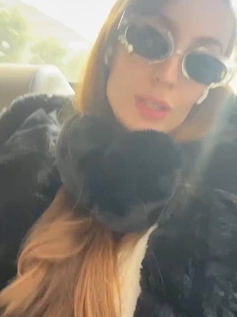 Daemi · Shervin Hajipour