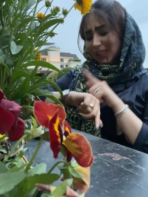 Heyf (Ft Sahel) · Alipasha