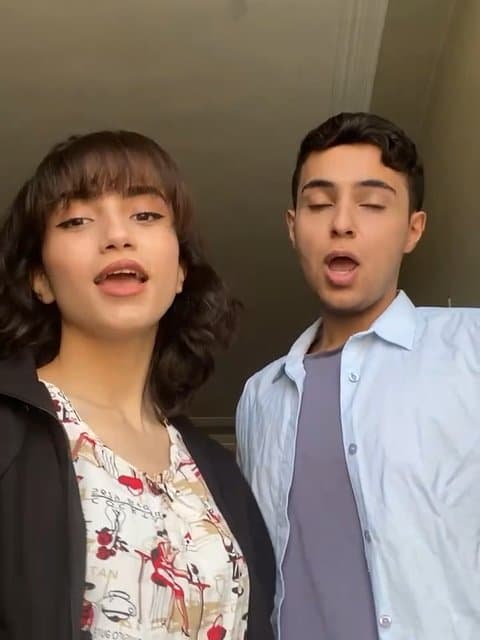 Setareh · Shadmehr Aghili