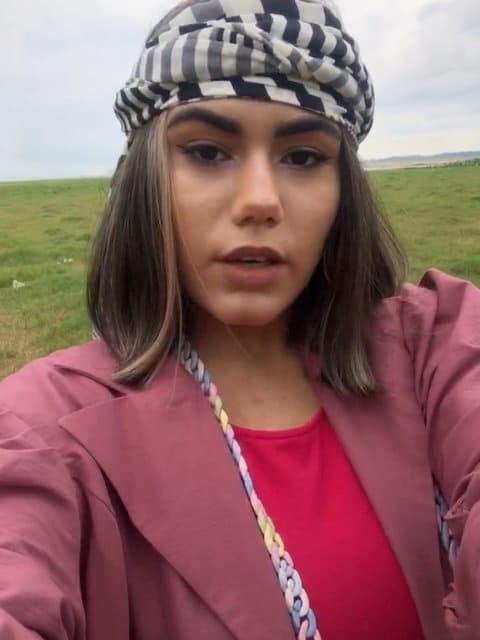 Shakhe Nabat · Masih & Arash AP