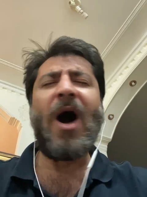 Pooch · Siavash Ghomayshi