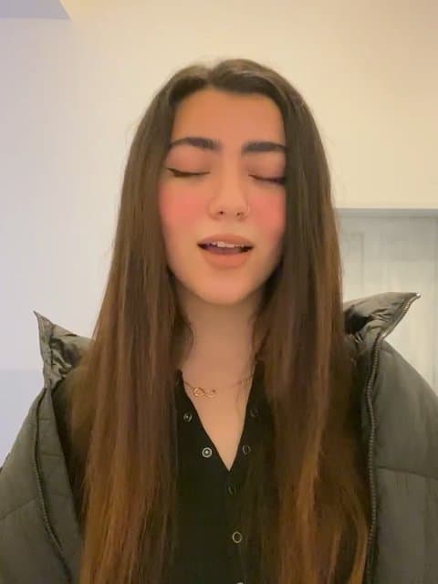 Business (Ft Sepehr Khalse, Saman Wilson, Sohrab MJ, & Alireza JJ) · Behzad Leito & Sijal