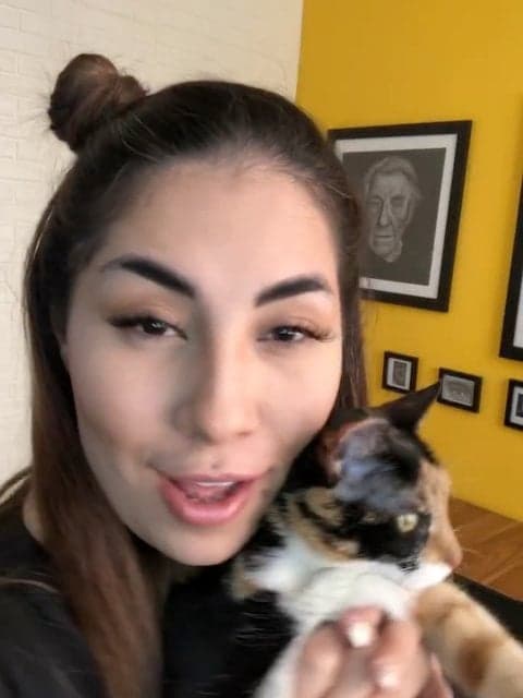 Ay Setareh · Haamim