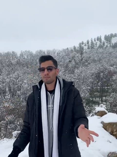 Shakhe Nabat · Masih & Arash AP